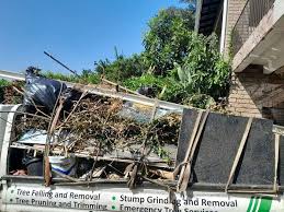 Best Property Management Cleanouts  in Adelino, NM